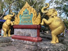 -西双版纳傣族园
