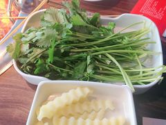 -季季红火锅(动壹店)