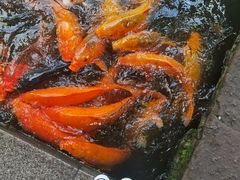 -佛山顺德香云纱园林酒店(清晖园店)