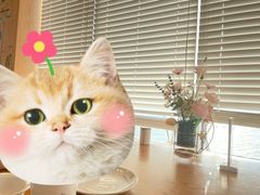 -渔·日落海景餐厅(南沙湾沙滩店)