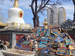 -护国法轮寺