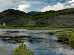 景点-腾冲北海湿地