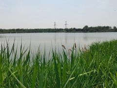 -大港湿地公园