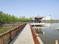 -莲花池公园