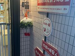 -有喵·猫咖·狗咖·30几只猫10只小狗(岗厦店)