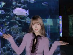 -左海海底世界
