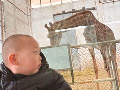 -石家庄市动物园