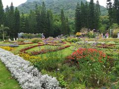 -深圳仙湖植物园