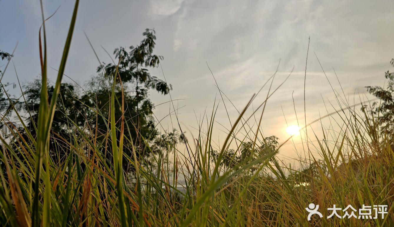 大梅沙海滨栈道~