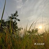 大梅沙海滨栈道~