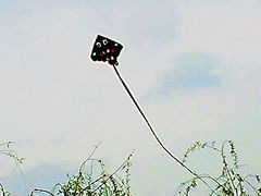 -文瀛公园