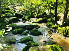-茅兰沟国家森林公园