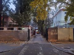 -三里屯东五街银杏大道