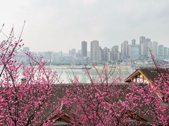 -悟饮门市景店