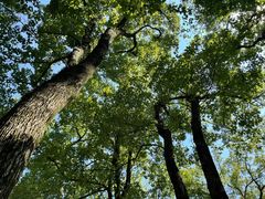 -宁波市保国寺古建筑博物馆