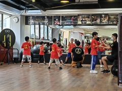 -温鉴良实用咏春拳