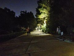 -长春市南湖公园