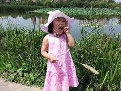 -前关湿地公园