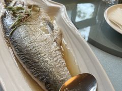 清蒸白丝鱼-逸林轩中餐厅(中信泰富朱家角锦江酒店)