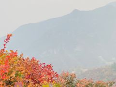 -周口店坡峰岭风景区