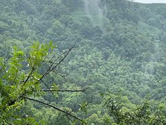 -中国茶叶博物馆(双峰馆区)