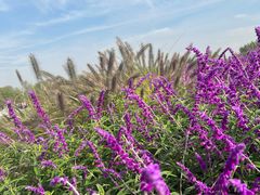 -汉长安城未央宫国家考古遗址公园