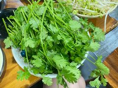 -牛小隆牛肉面馆(四牌楼店)