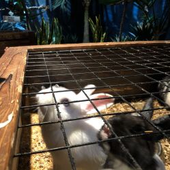 -酷嗒动物文化乐园(cutezoo西溪乐天城店)