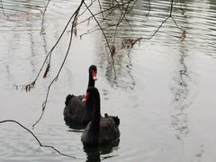 -昆山城市生态森林公园