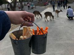 -鹿境梅花鹿生态园区