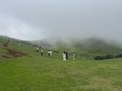 -大姆山草场