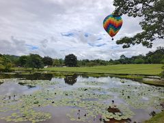 -中国科学院西双版纳热带植物园