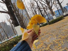 -两江幸福广场