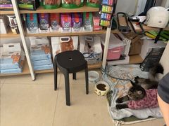 -瑞鹏·疫苗·绝育·宠物医院(金沙洲店)