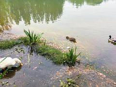 -海淀公园