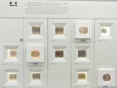 -中国茶叶博物馆(双峰馆区)