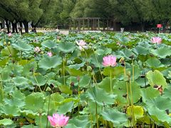 -太阳宫公园