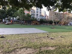 -马塞纳广场