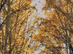 -河南省黄河迎宾馆