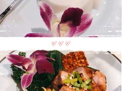 -bluefrog蓝蛙(皇庭广场店)