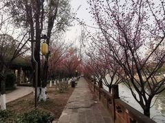 -望江楼公园