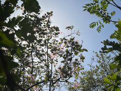 -北京十三陵国家森林公园蟒山景区