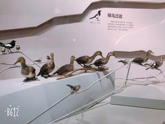 -长江文明馆
