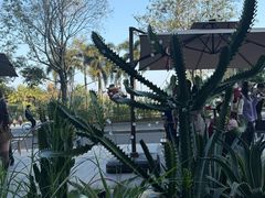 -ommo cafe(半岛城邦店)