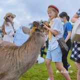 南宁鹿岛公园我来了，凑热闹真的想哭