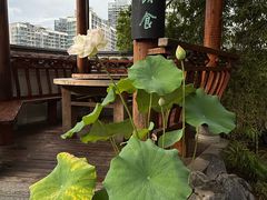 -道南書院·私房菜·早午茶·茶馆