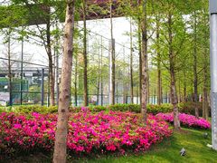 -董家渡渡口售票处