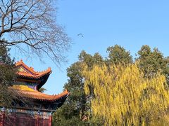 -宝通禅寺