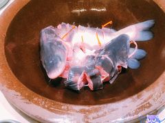 -鲜潭蒸汽石锅鱼(五道口购物中心店)