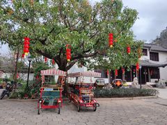 -南沙蒲洲花园